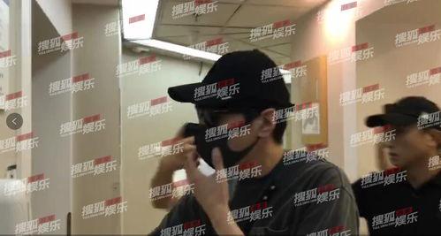 今日娱乐爆料赵又廷,今日娱乐爆料揭秘